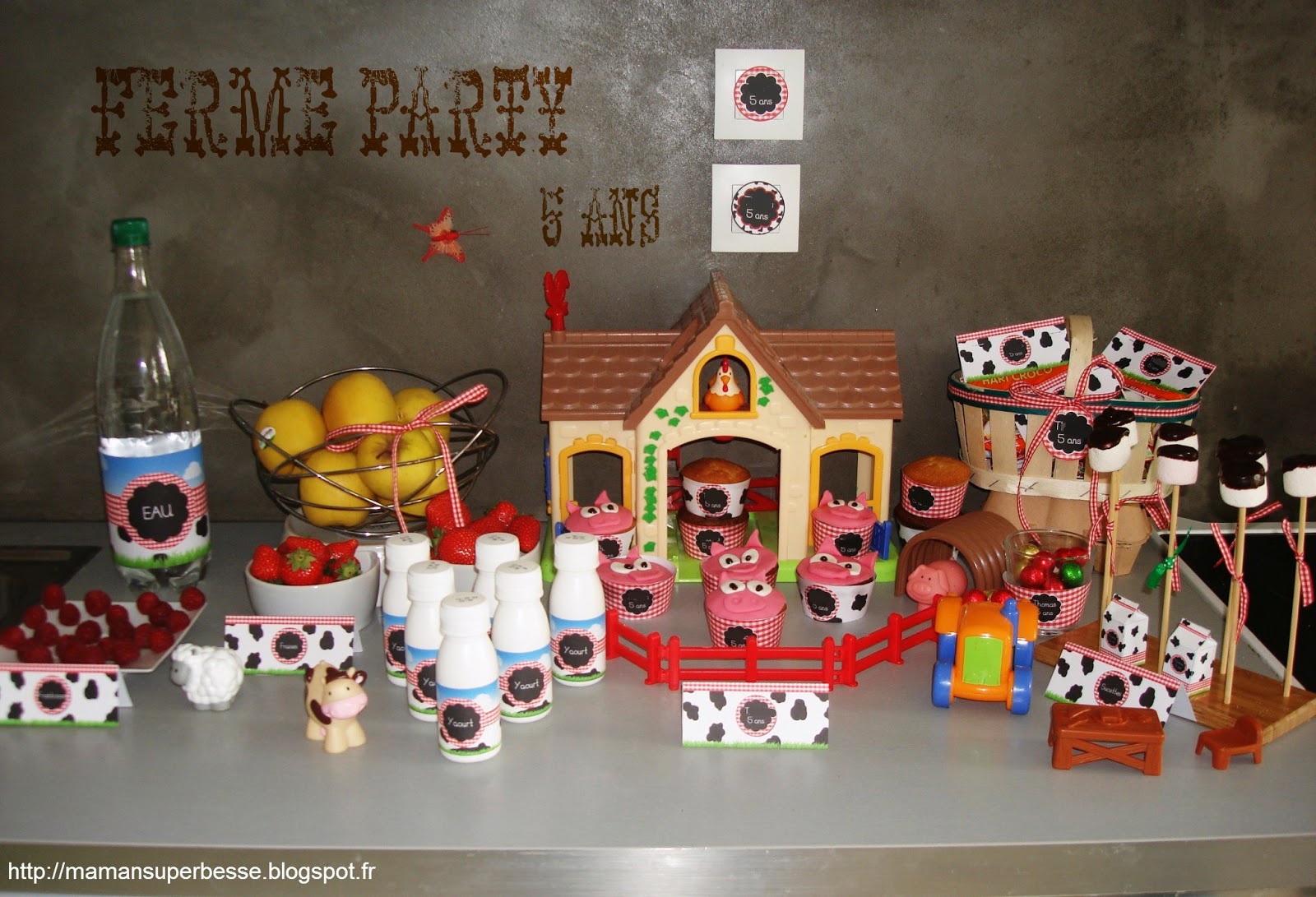Anniversaire theme ferme